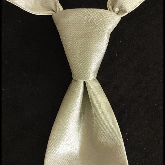 BOY'S WINDSOR TIE & POCKET SQUARE BY LARR BRIO - Picture 2 of 5